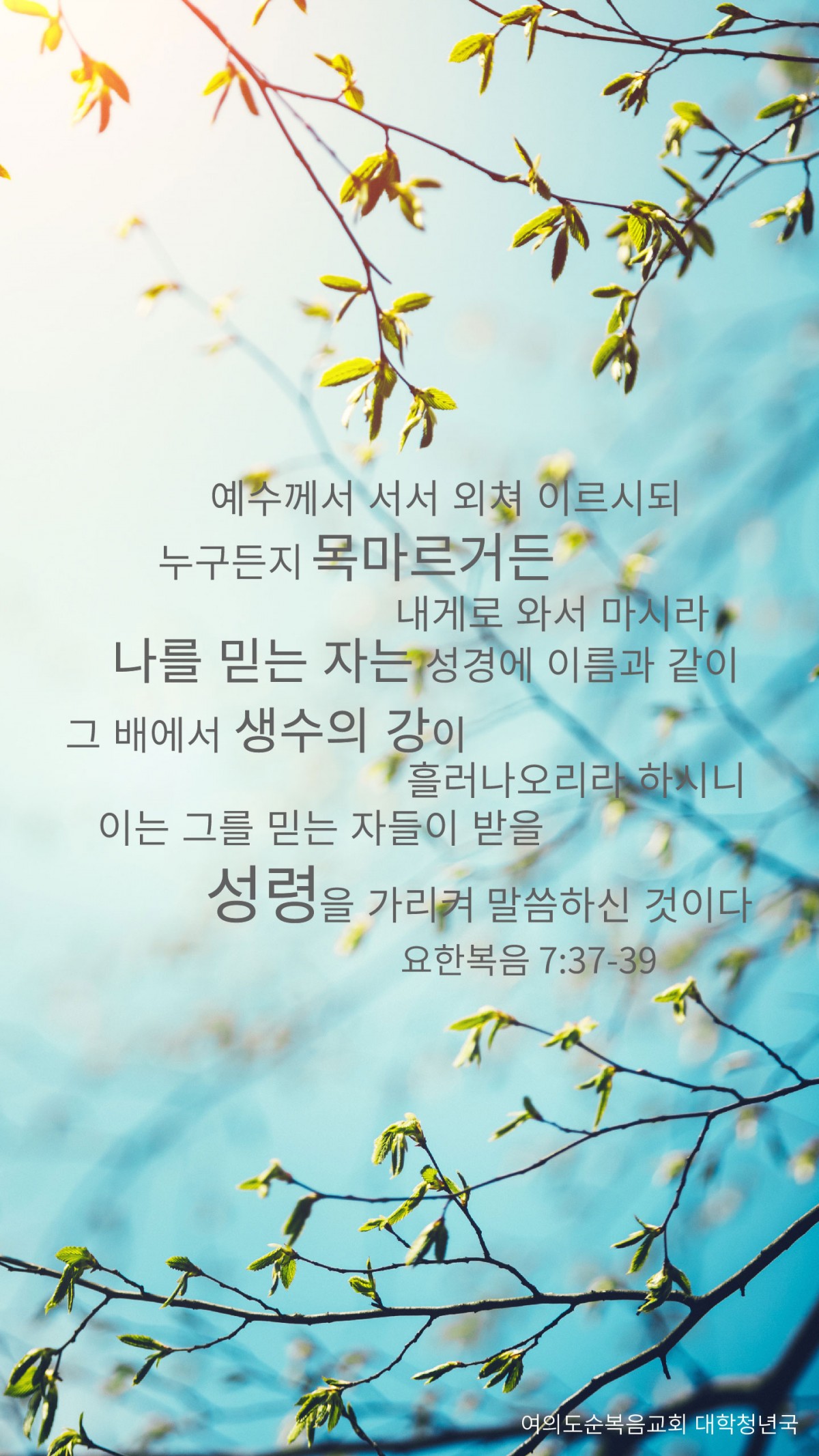 2017.03.26_m-1.jpg