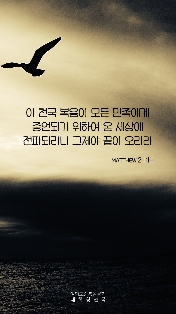 20170521_M-1.png